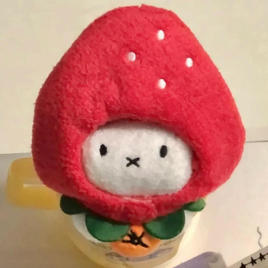 小初