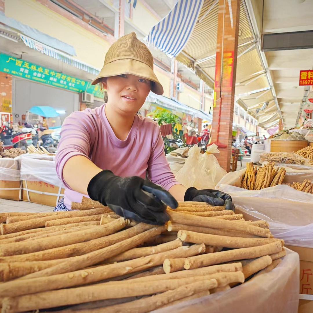 岷乡妹-黄芪当家