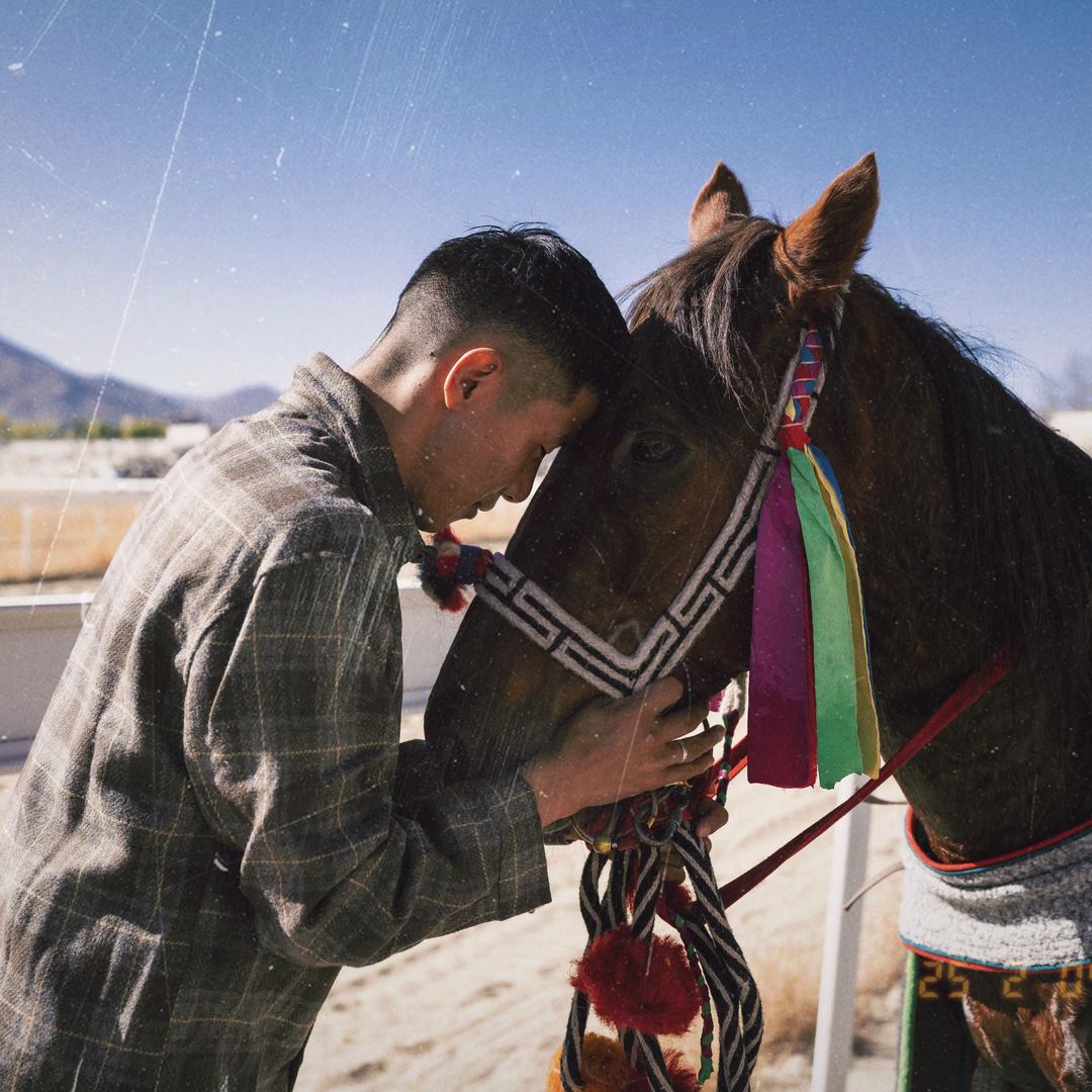 堆龙雪鹰马圈俱乐部