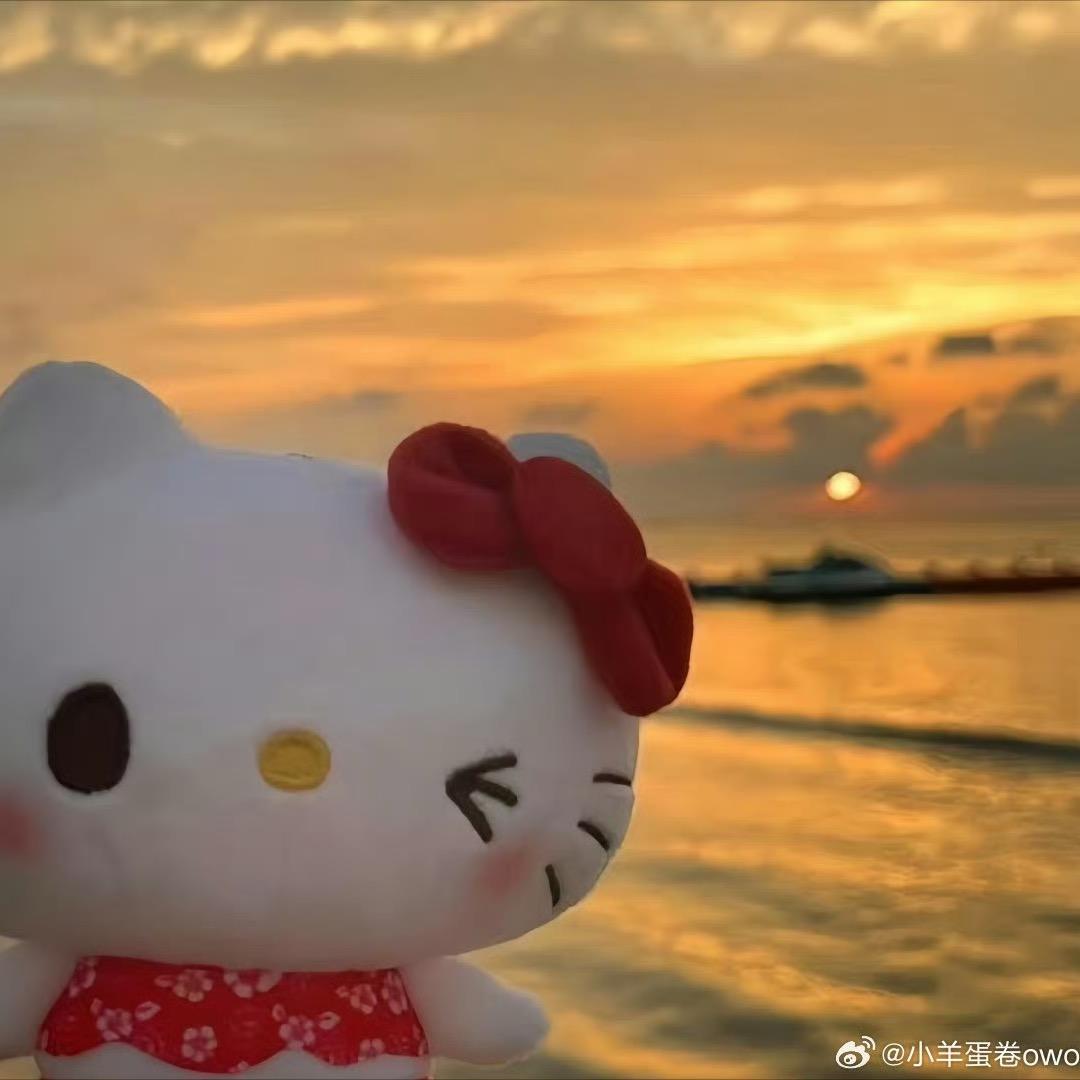 冷酷卷心菜.