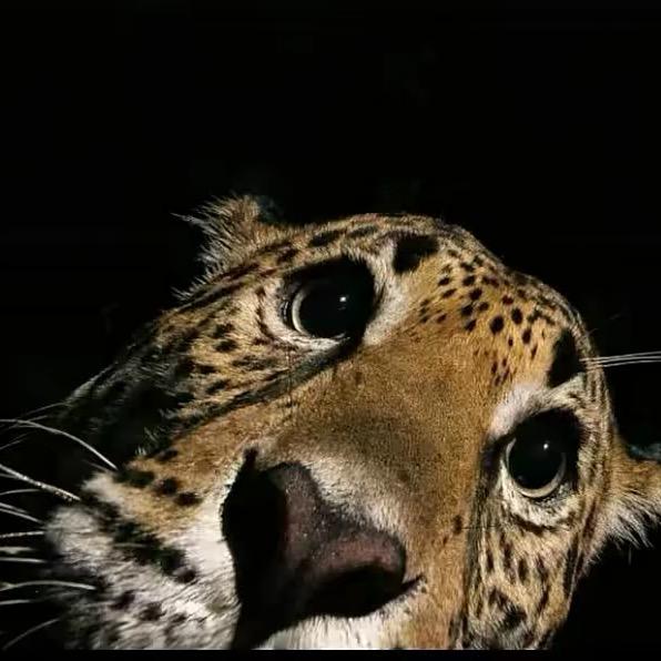 ㅤㅤㅤㅤㅤㅤㅤㅤㅤ