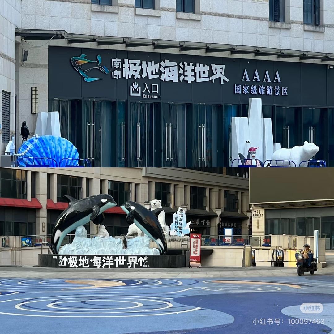 畅玩欢乐海洋公园