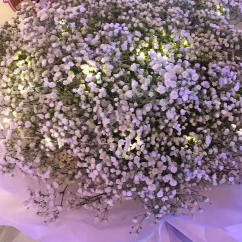 哇哇哇哈哈哈哈