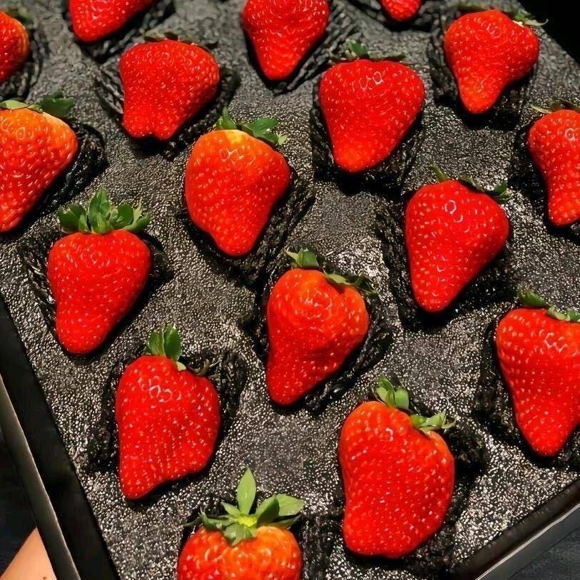 丹东草莓姑娘🍓