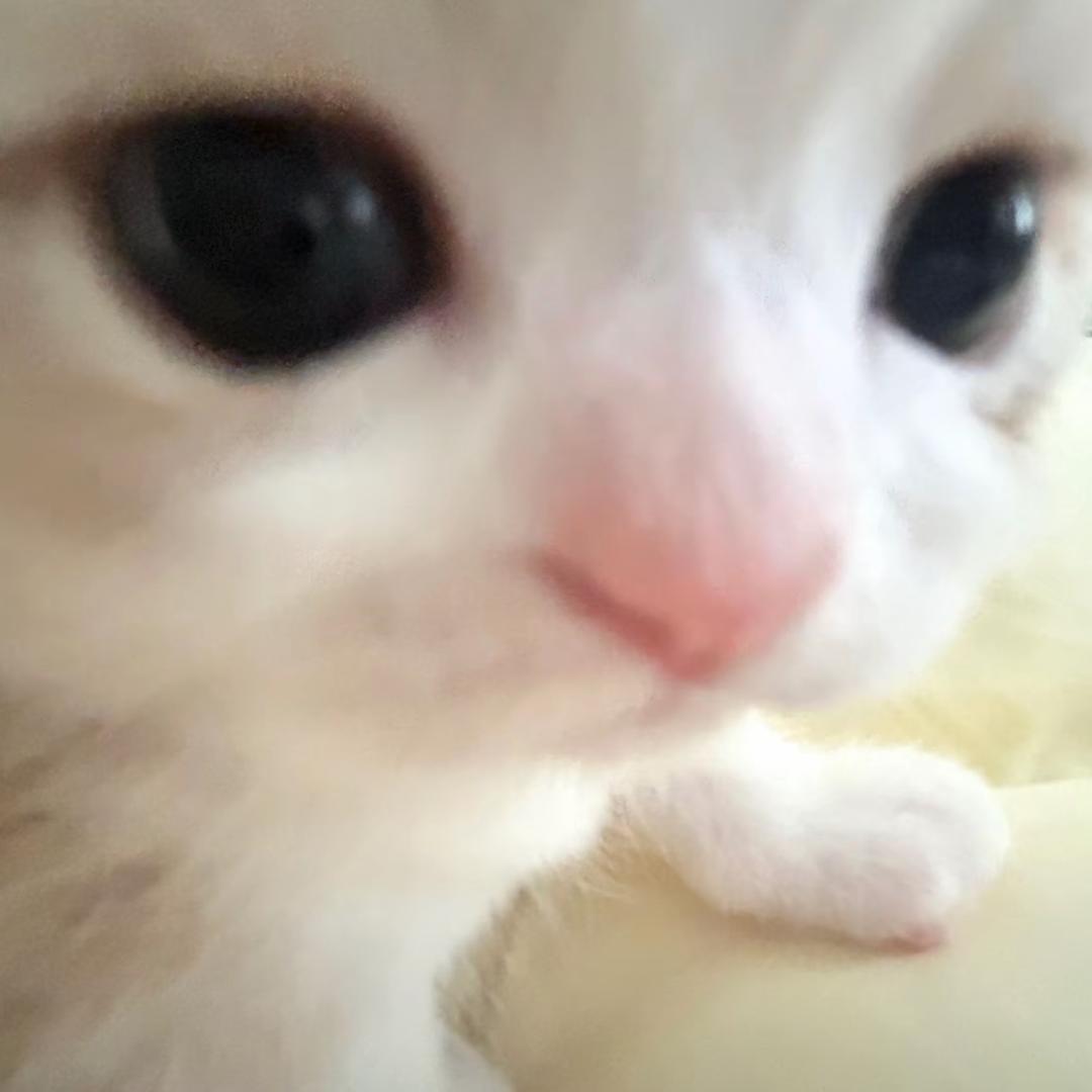 ke