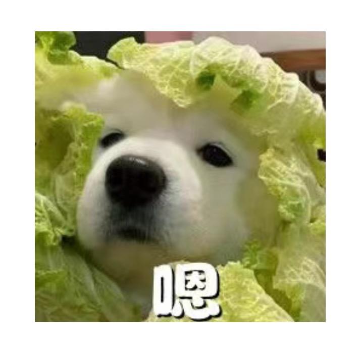 陈陈