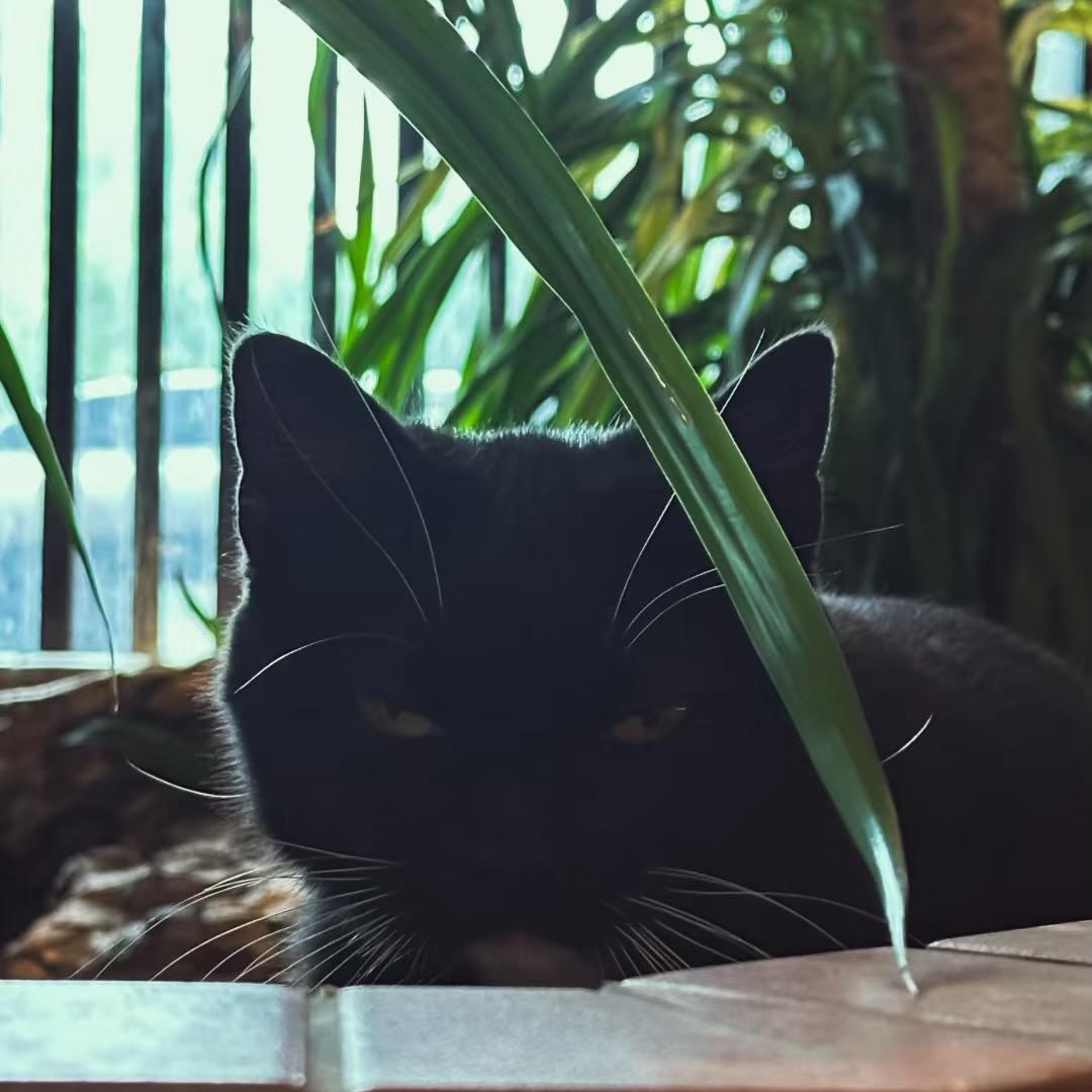 龙华爱客坊商务商行