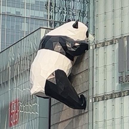 李先生.🇨🇳