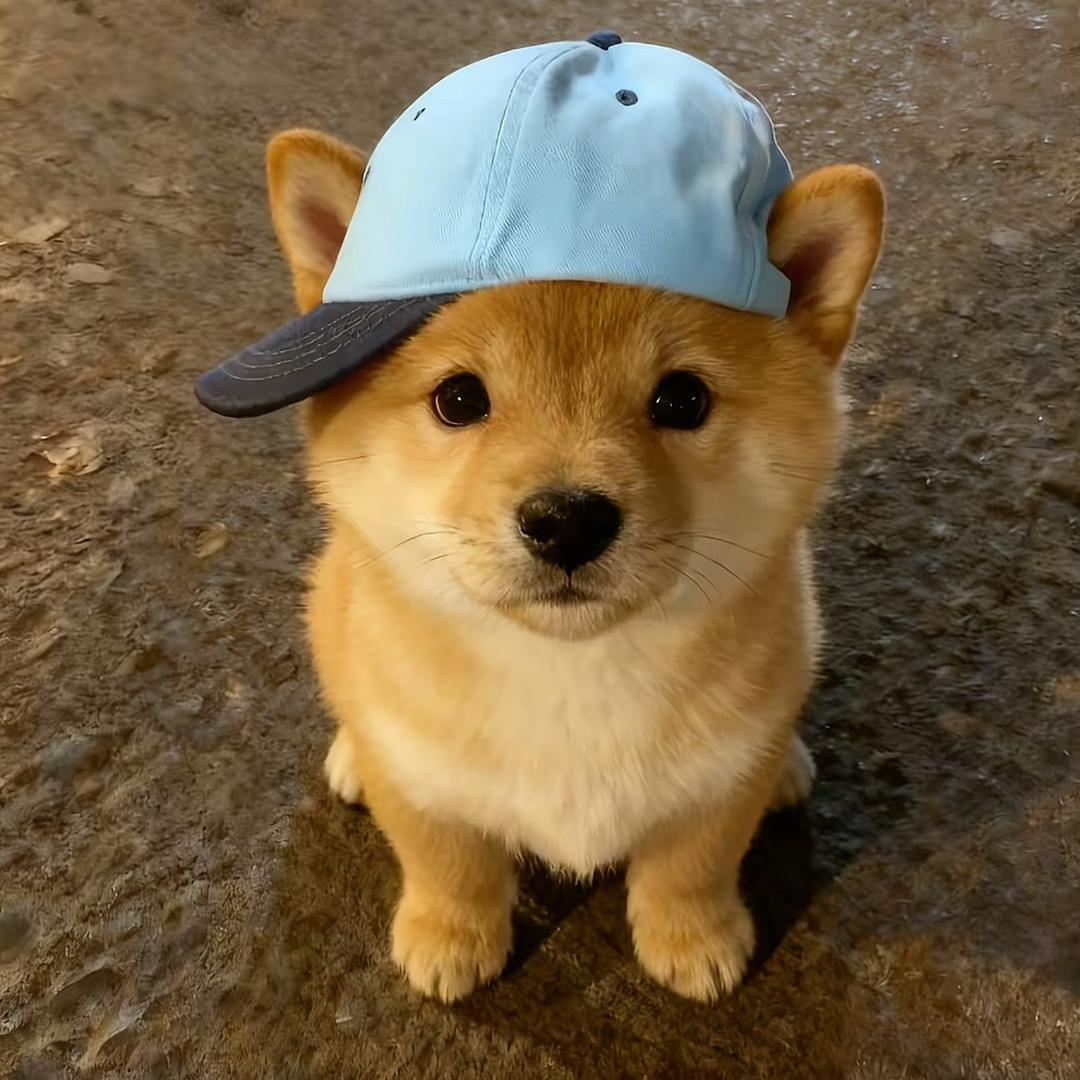 小兰帽