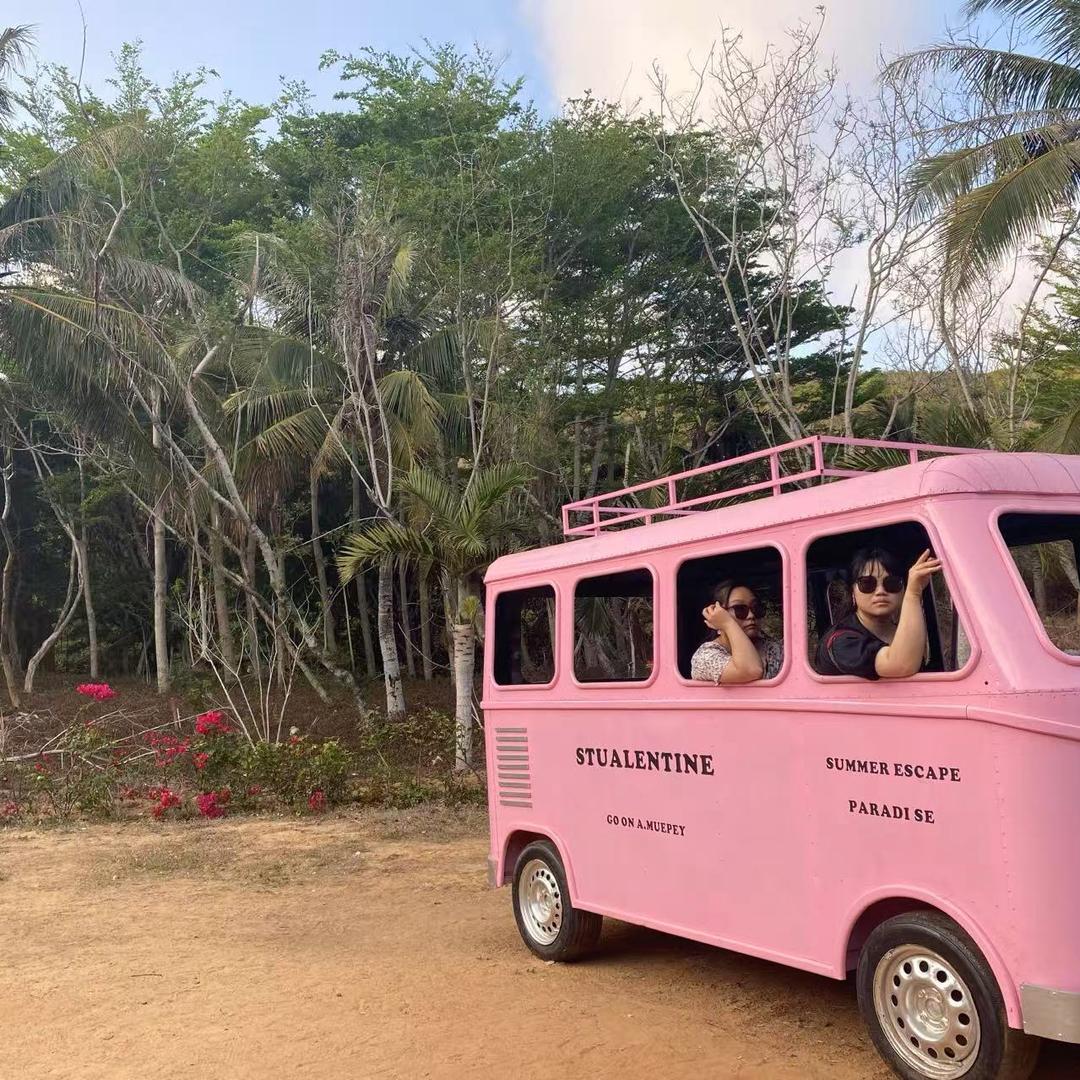 科目二三解忧～