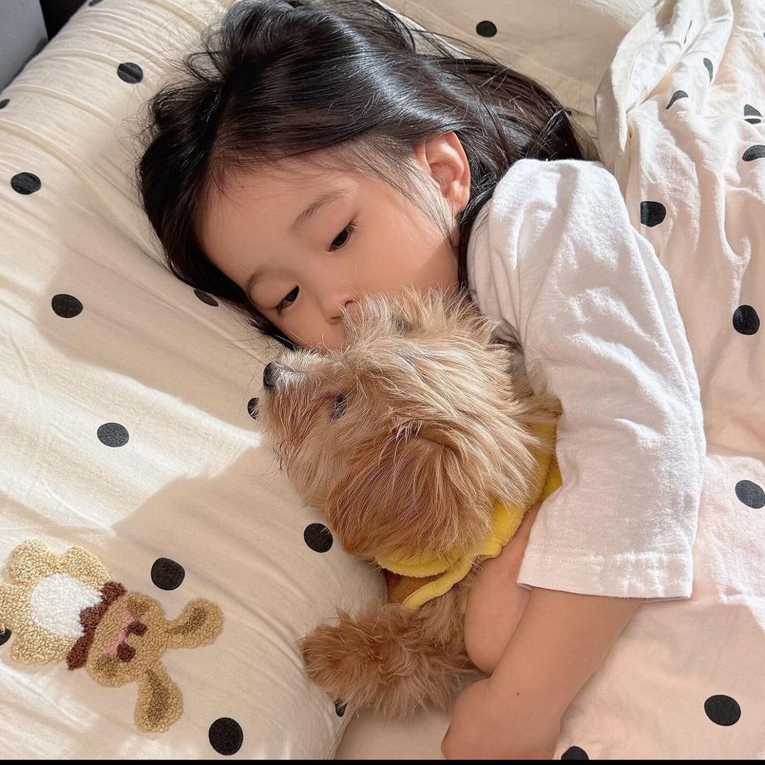 ㅤㅤㅤㅤㅤㅤ     ㅤㅤㅤㅤㅤㅤ