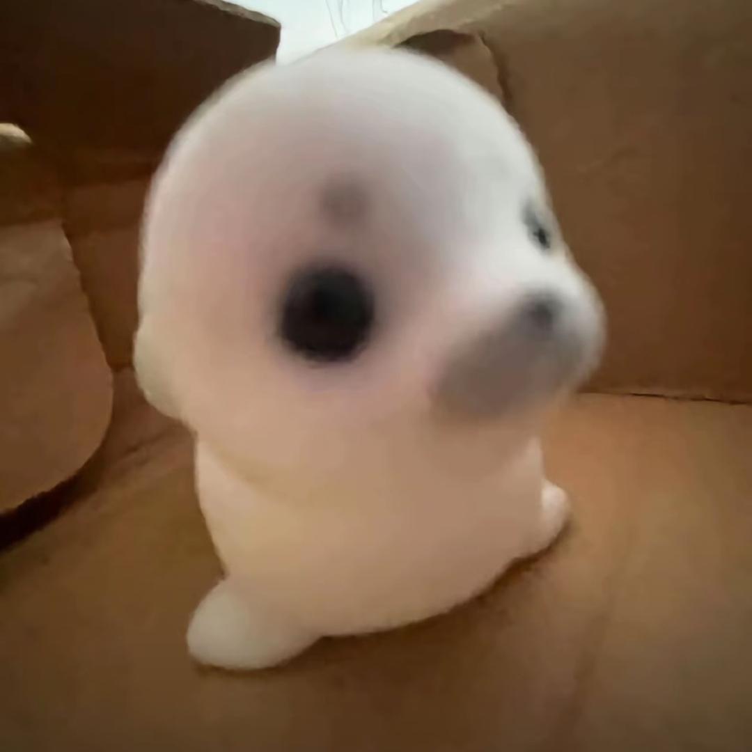 一只小西米