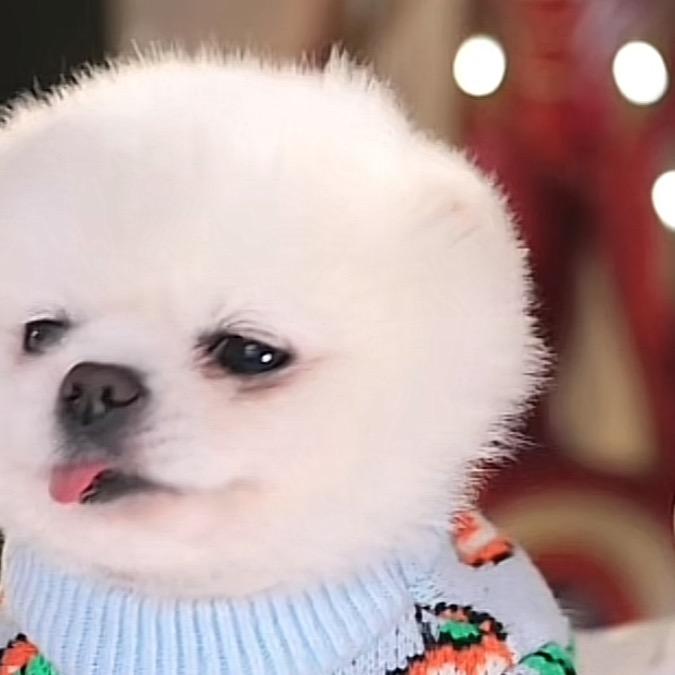 邂逅326号小星球☘️