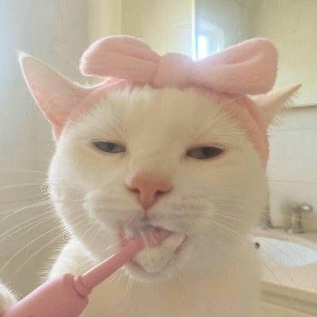十一