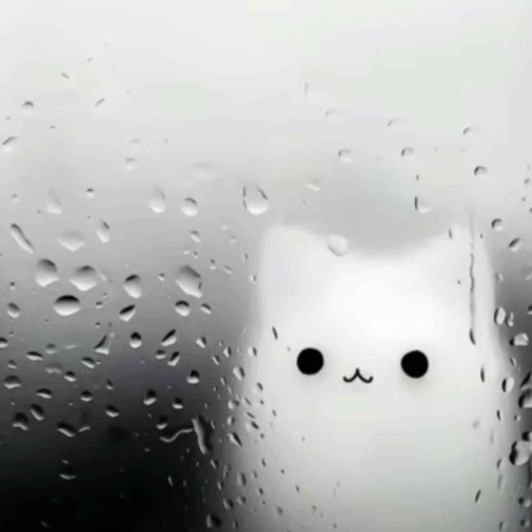 灰灰灰灰灰灰