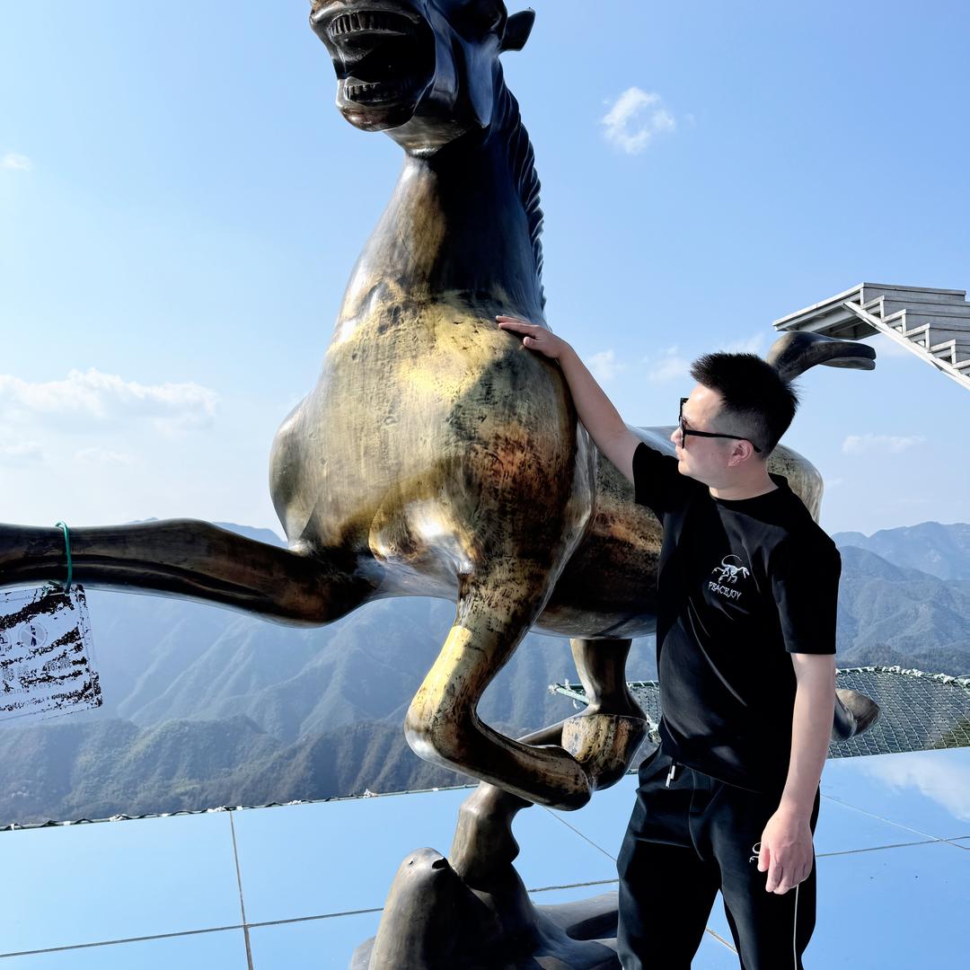 飞哥传媒（飞翔）