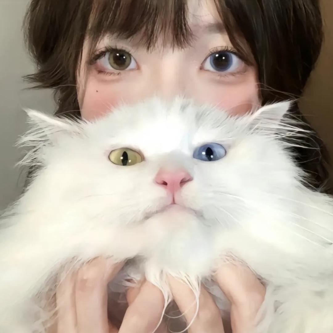 朱筱猫猫