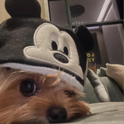 我是最有钱的皇帝