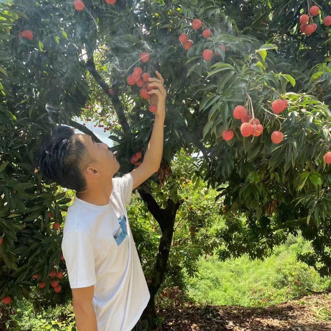 大表弟果园—大叔