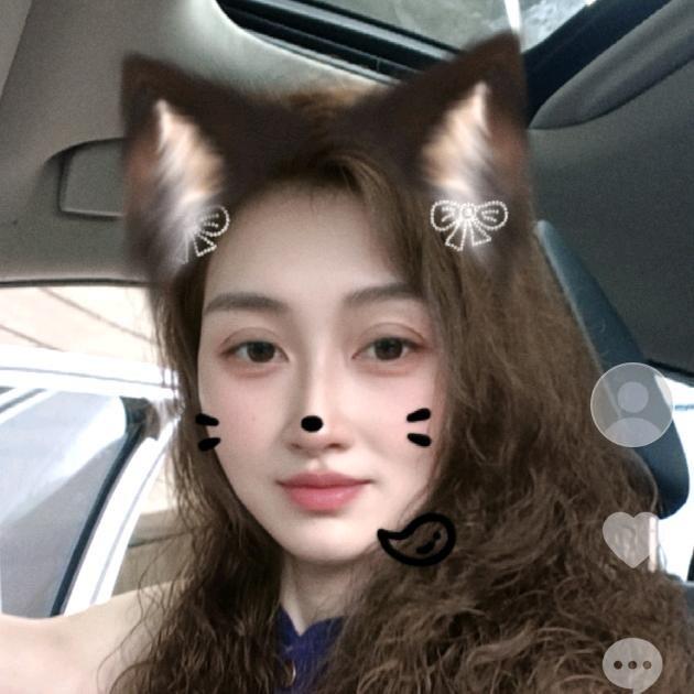 成成家的边牧