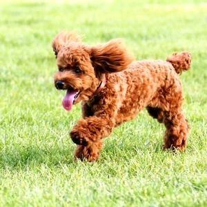 教育培训机构许老师