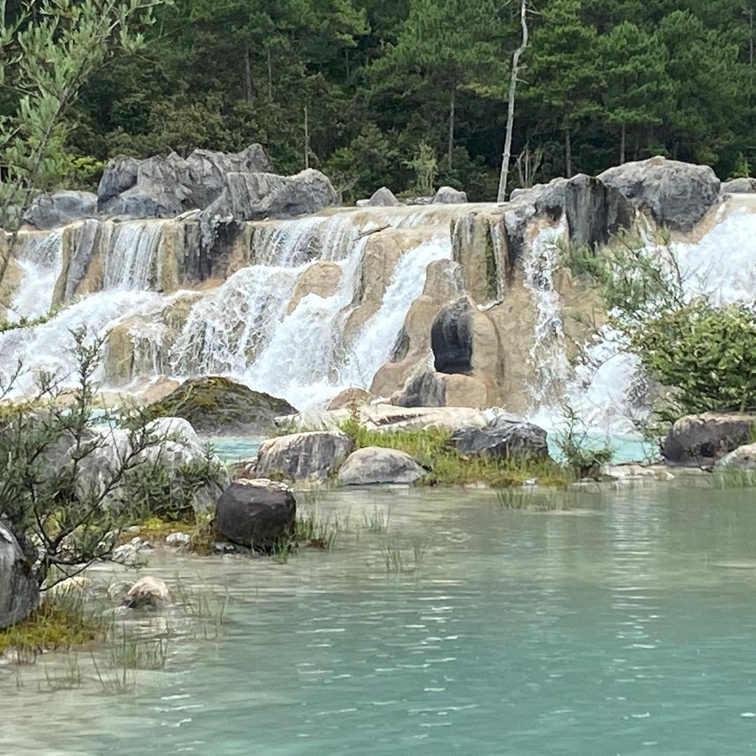 欣欣向荣