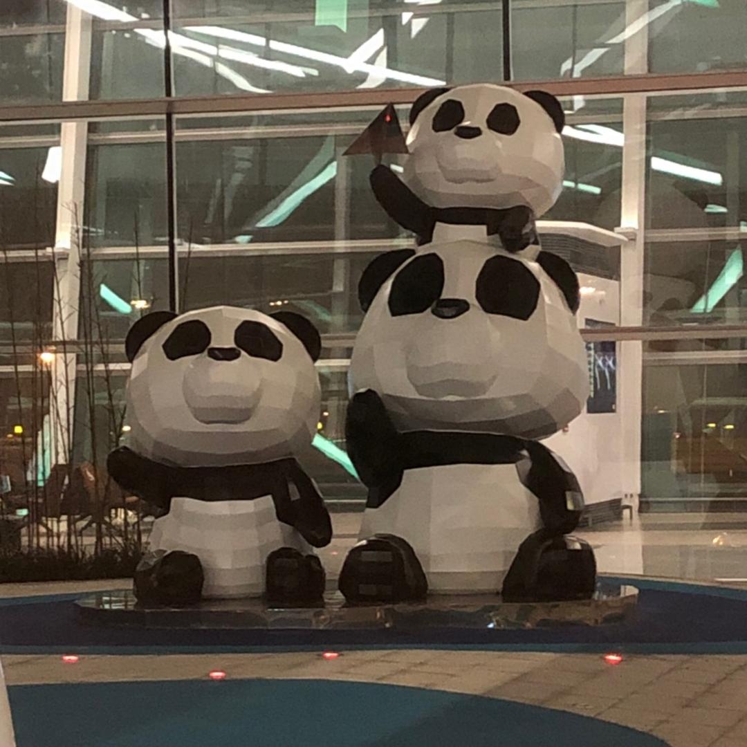 滴酒不沾小趴菜