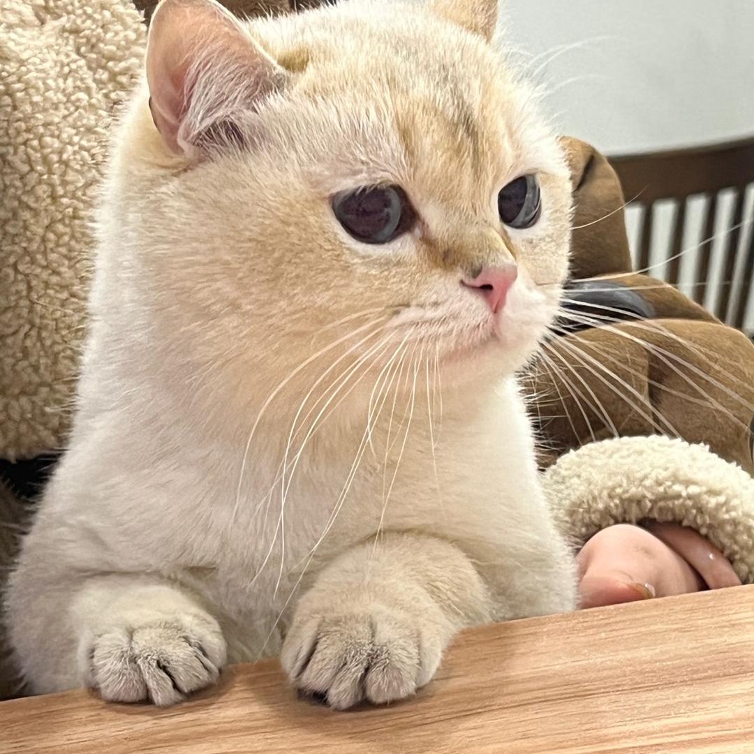 🌈甜甜不太甜