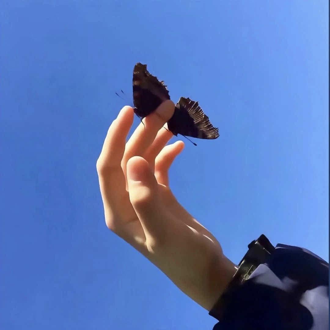 花千落