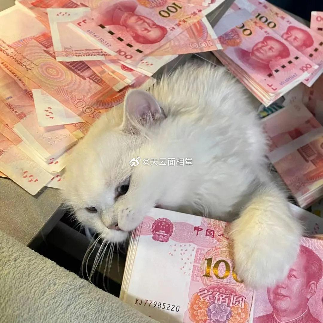 心心优选