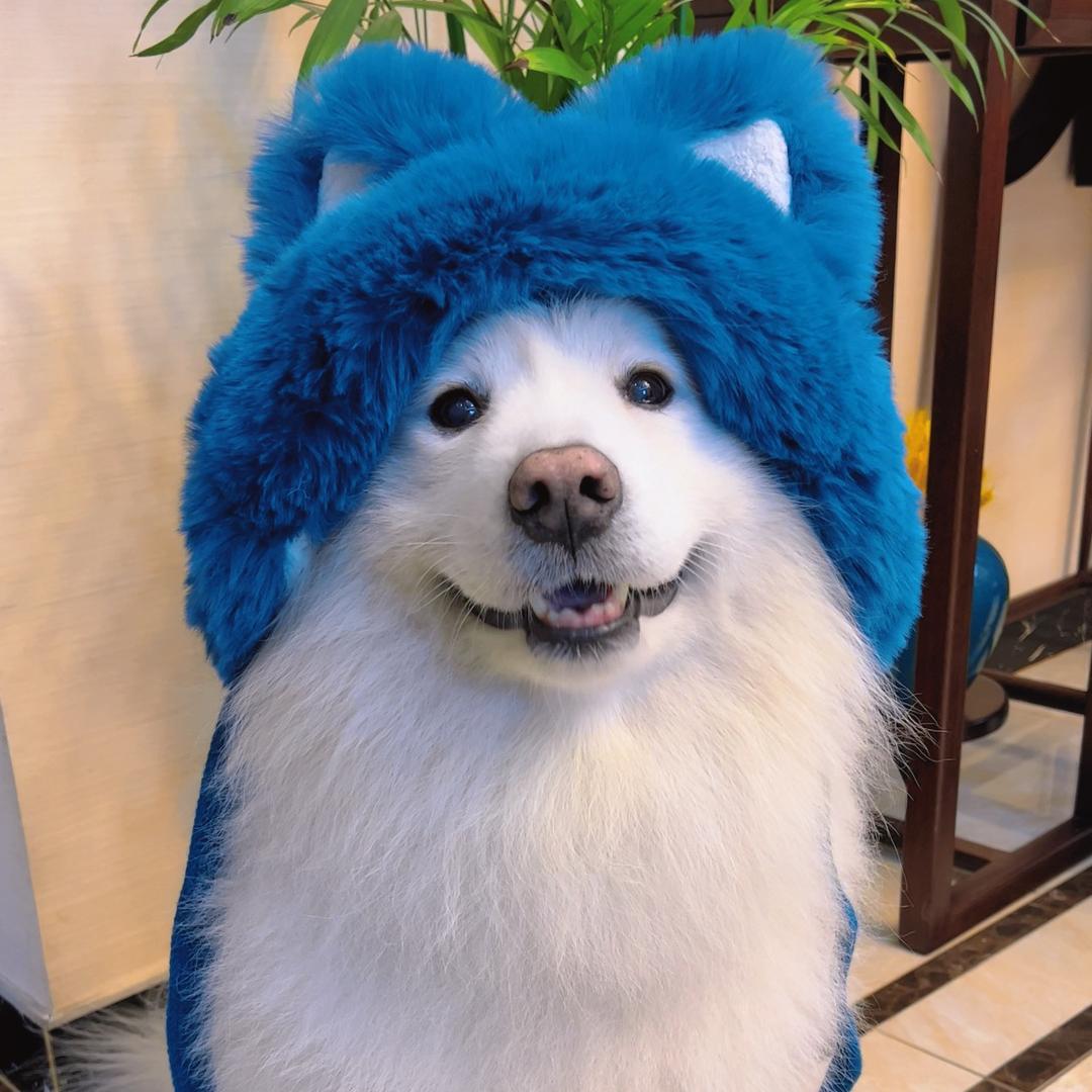 雪糕是个大胖仔