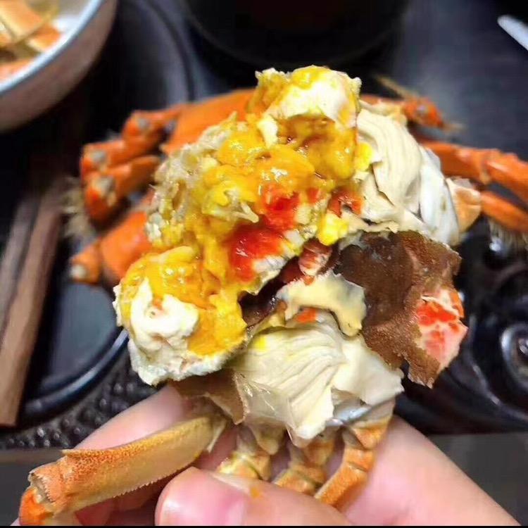 毛毛生活日记