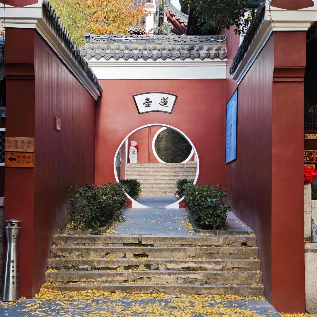 周小尼