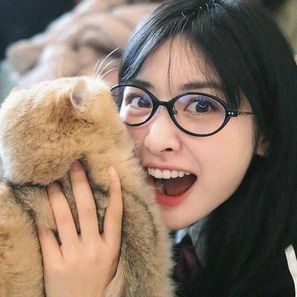 哈基米南北绿豆🐰