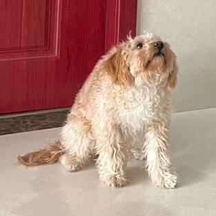 豆奶不爱喝豆奶