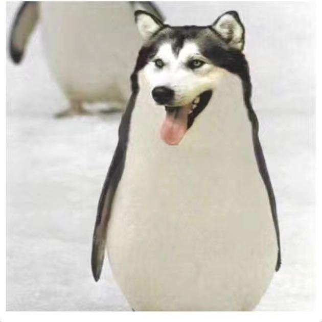 擎天柱把威震天丢转转回收买了新的车轱辘