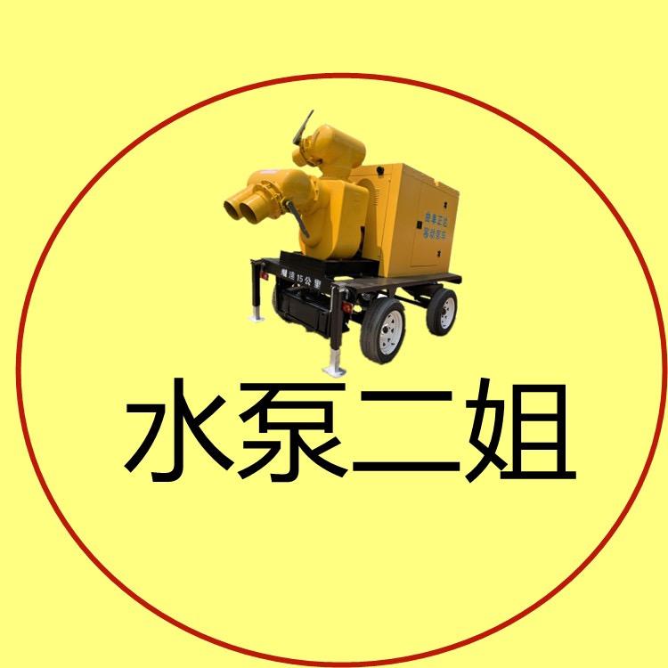 海盛泵业离心泵永磁泵喷灌泵柴油机泵