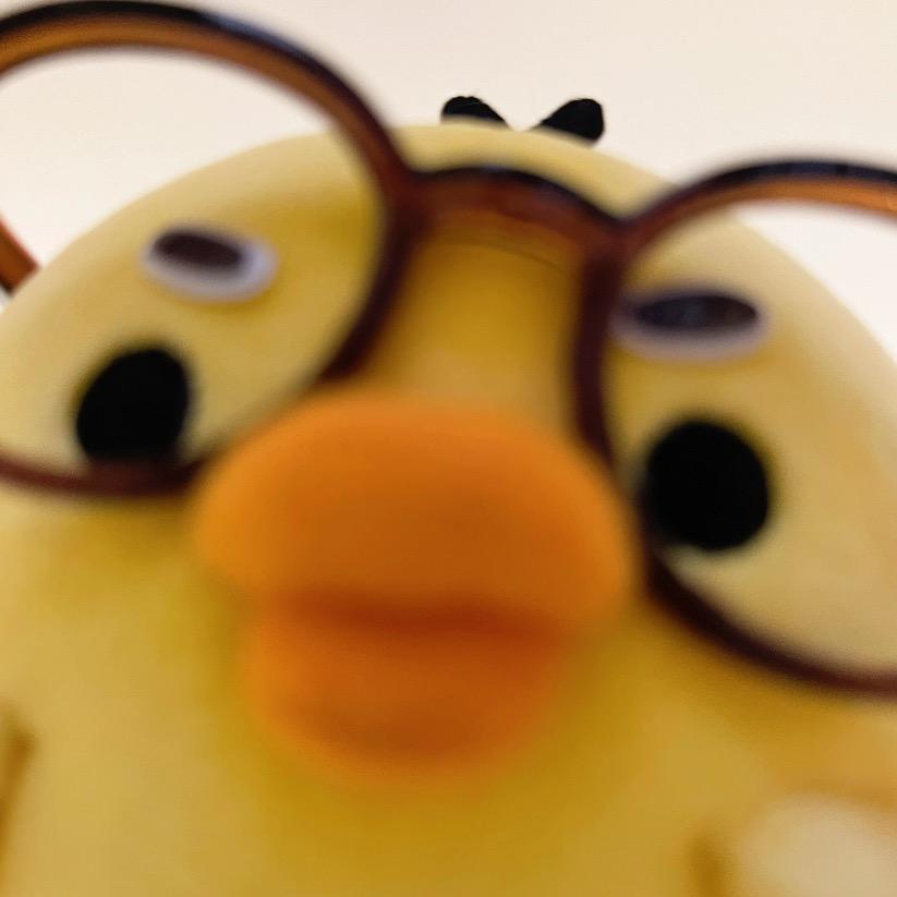 请想念一只小鸡！