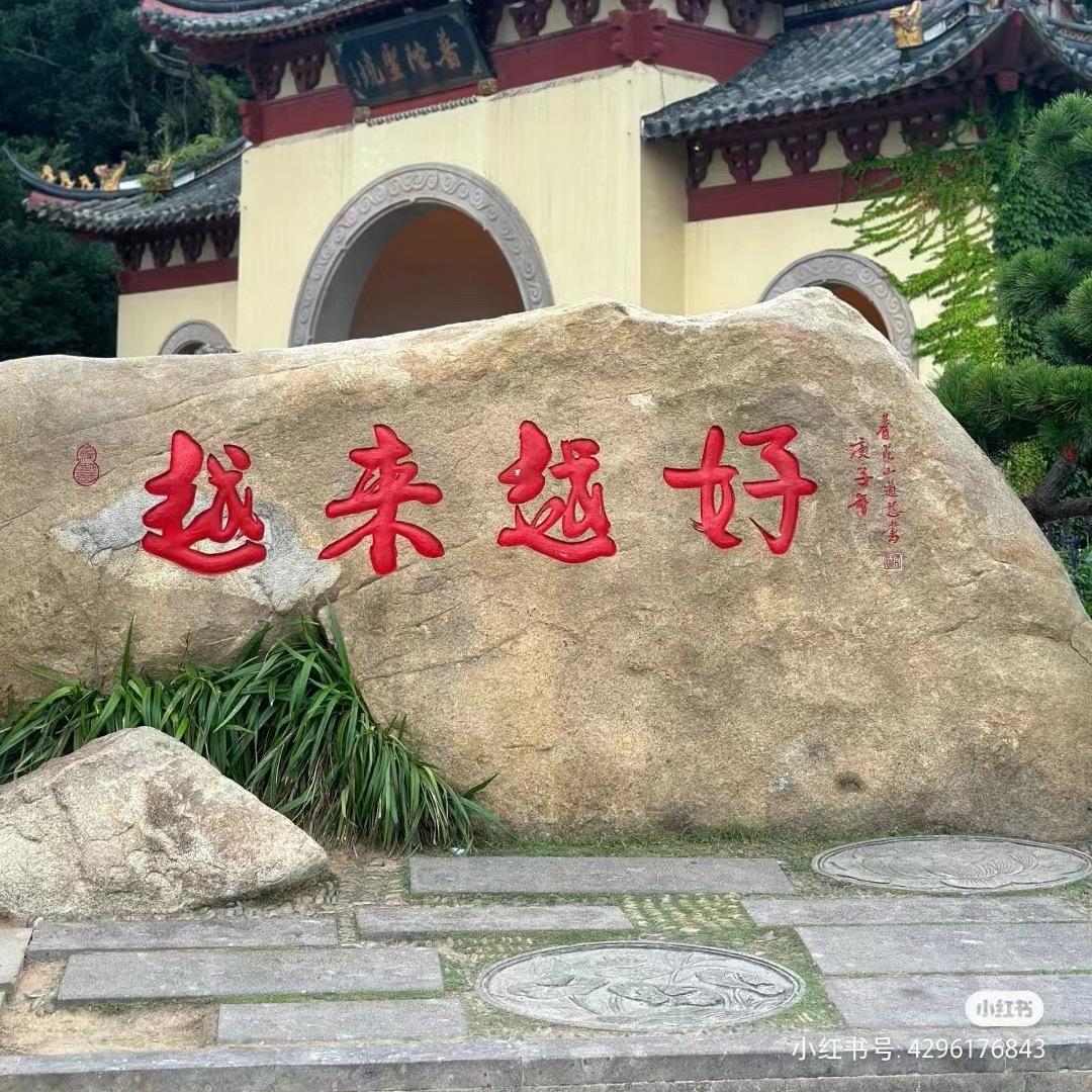 大会