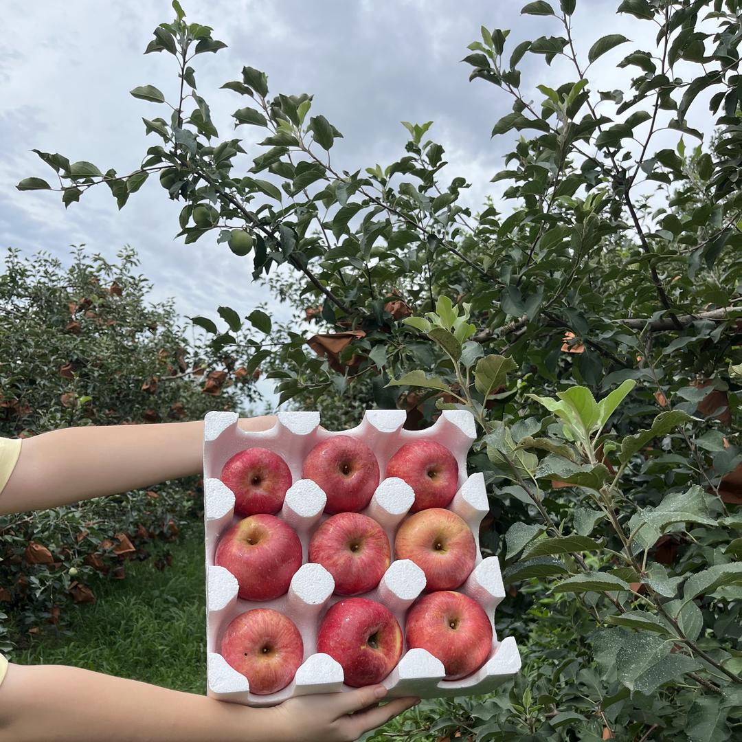 斌斌来财鲜果园