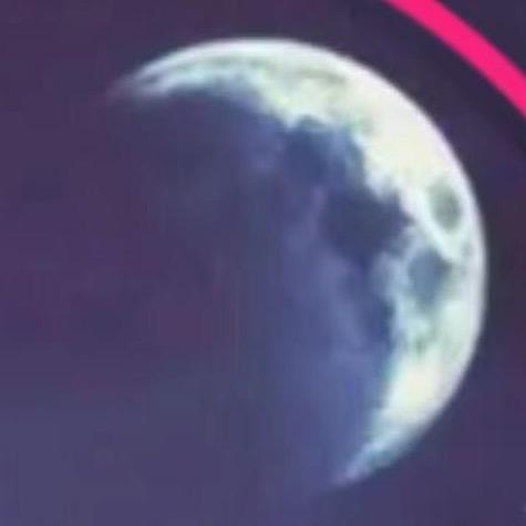 星星忠義（游戏）