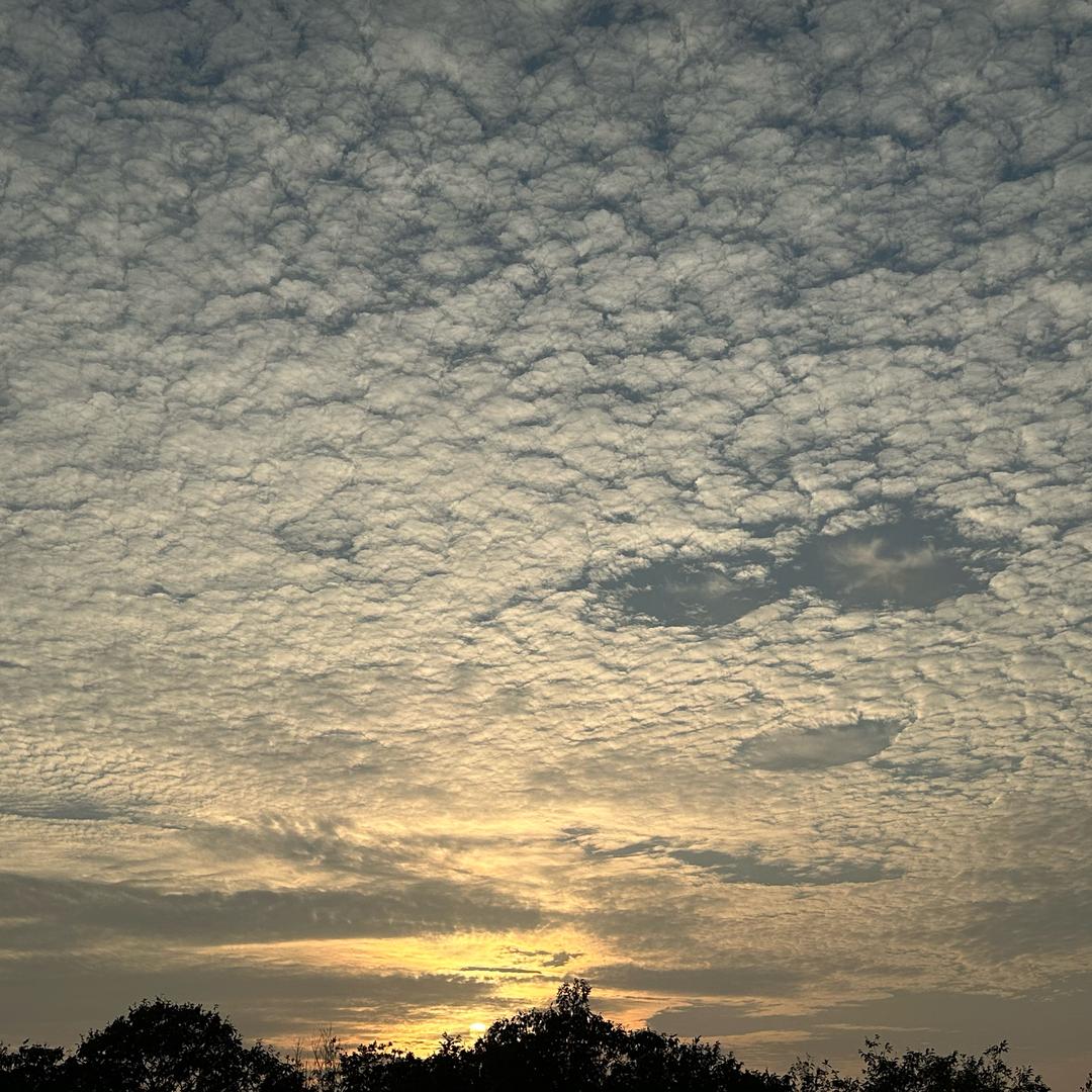夢