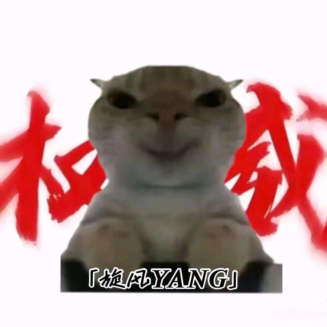 ꧁༺ 「旋风𝒀𝑨𝑵𝑮」༻꧂