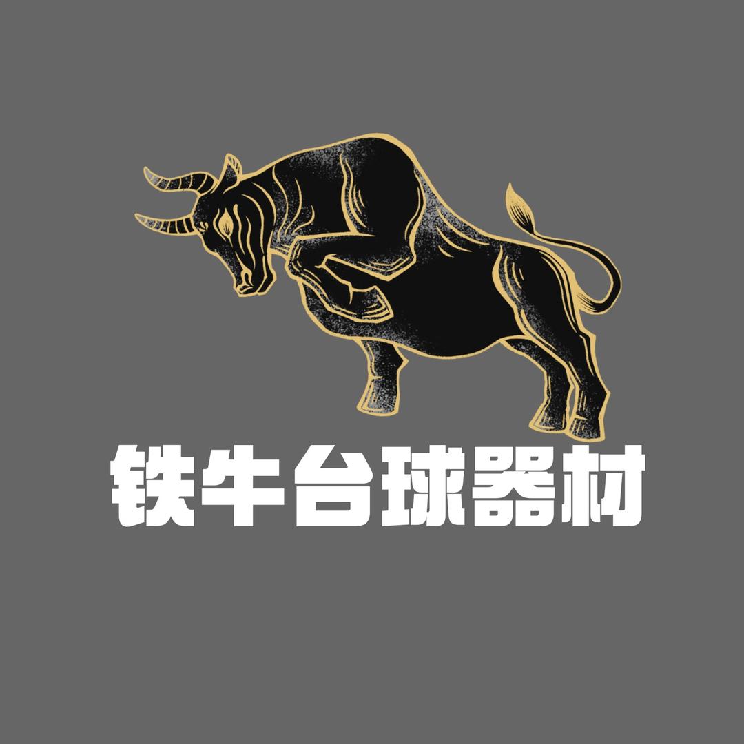 铁牛台球器材4号店