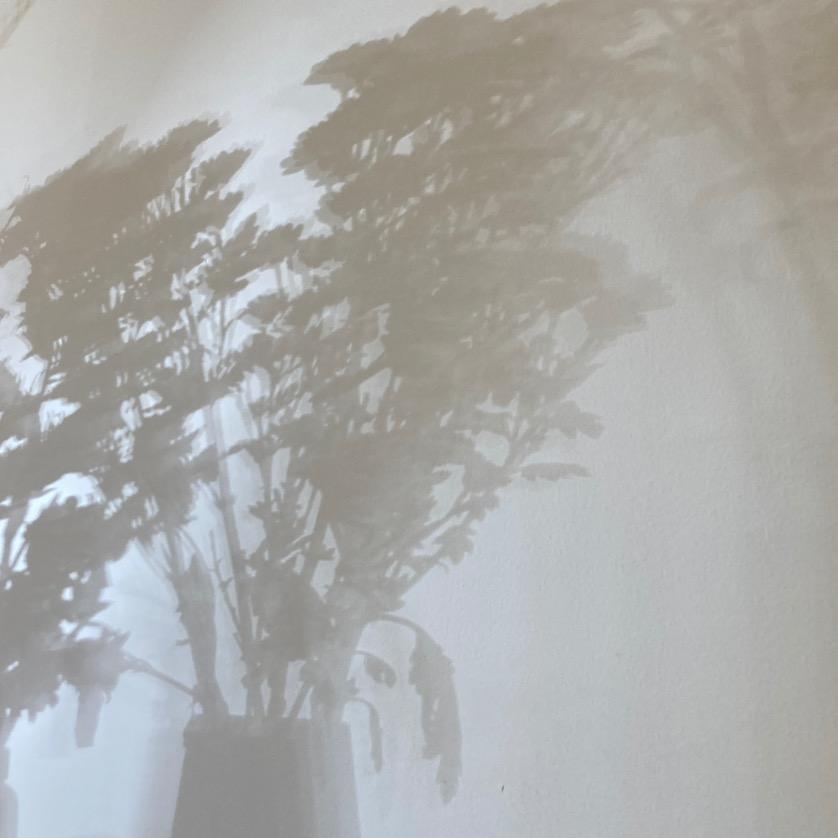 诗人道（记录日常版）