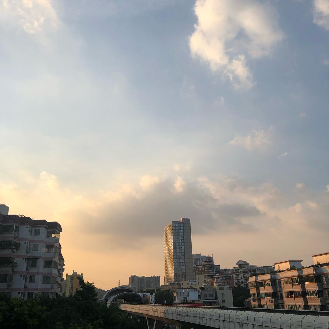 Fiona营养讲师-泰岸