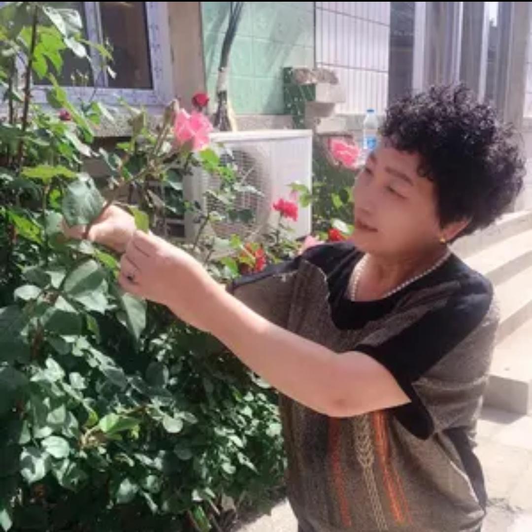 白云.