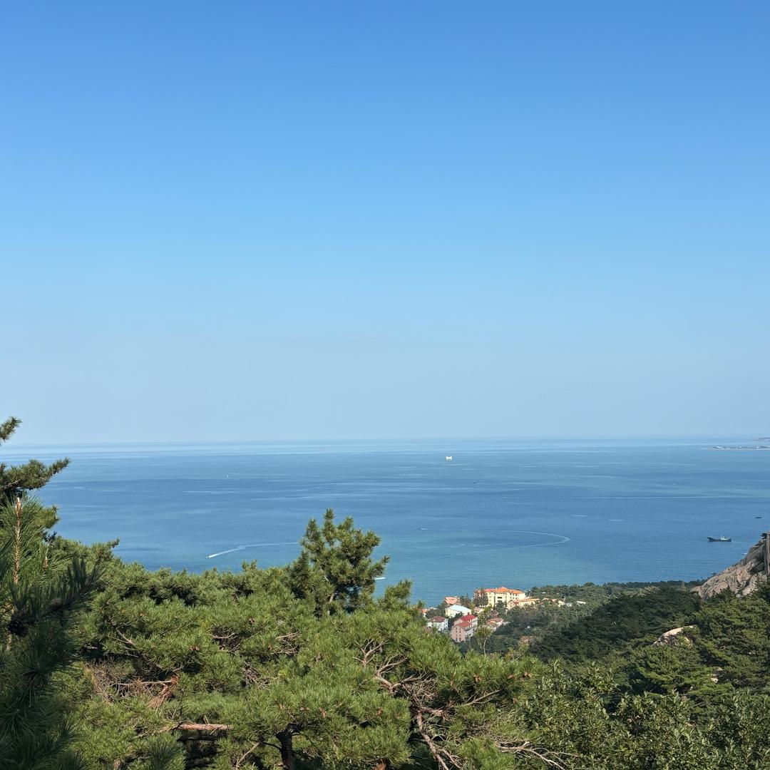 🎄暖心ᨶ႒ᩚ向阳🌺