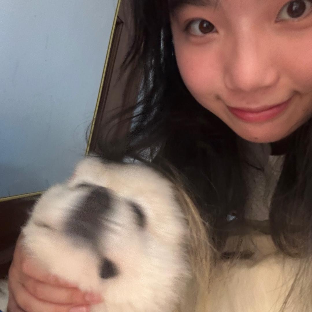盒子味