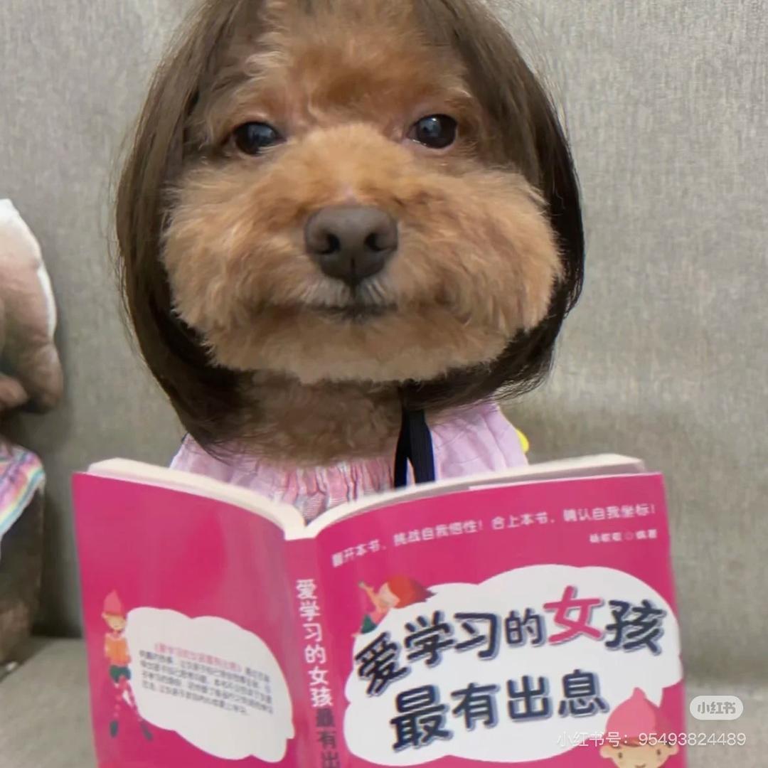 小豆丁.